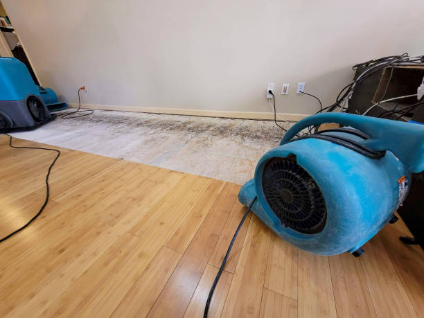 Professional Structural Drying technician working in Colorado City, TX